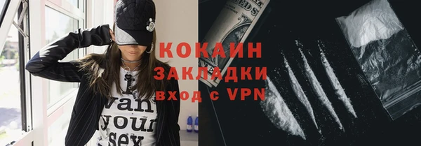 молекула духа Белая Холуница