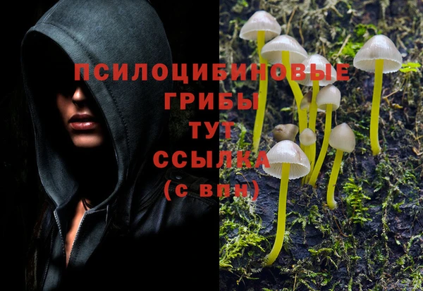 a pvp Приозерск