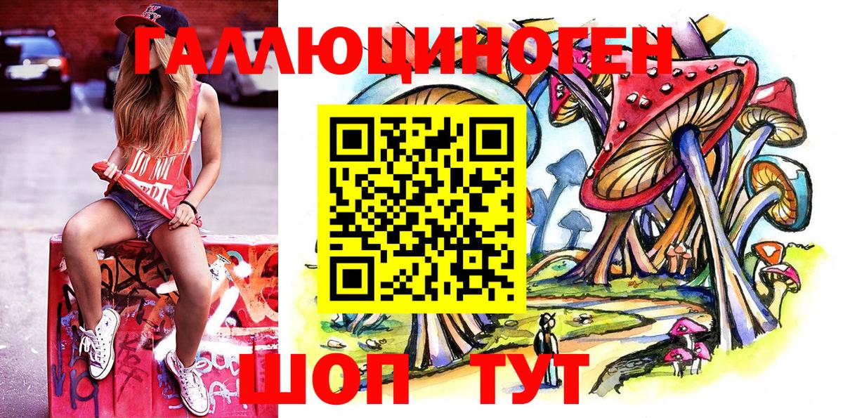 Галлюциногенные грибы Psilocybe Глазов