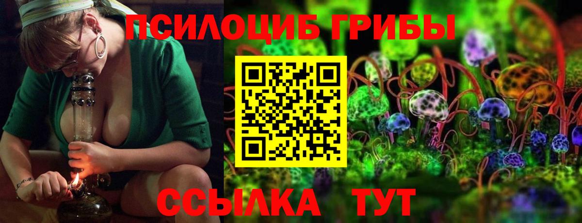 Псилоцибиновые грибы Psilocybe  Галлюциногенные грибы мицелий  Глазов  Вход с VPN 