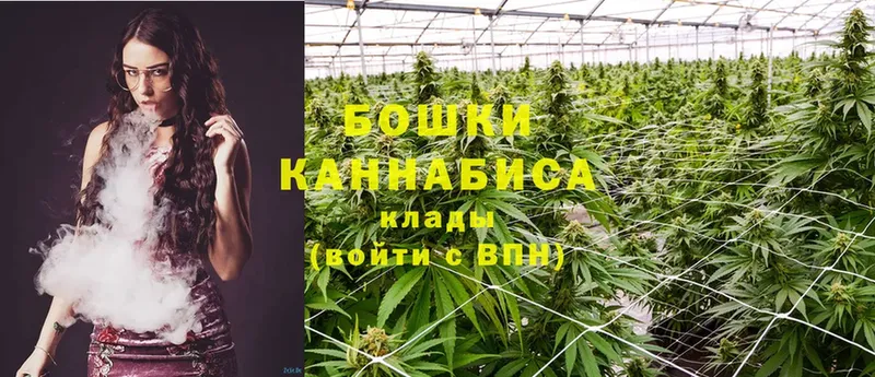 наркотики  Глазов  Конопля SATIVA & INDICA 